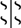 Schui